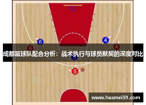成都篮球队配合分析：战术执行与球员默契的深度对比